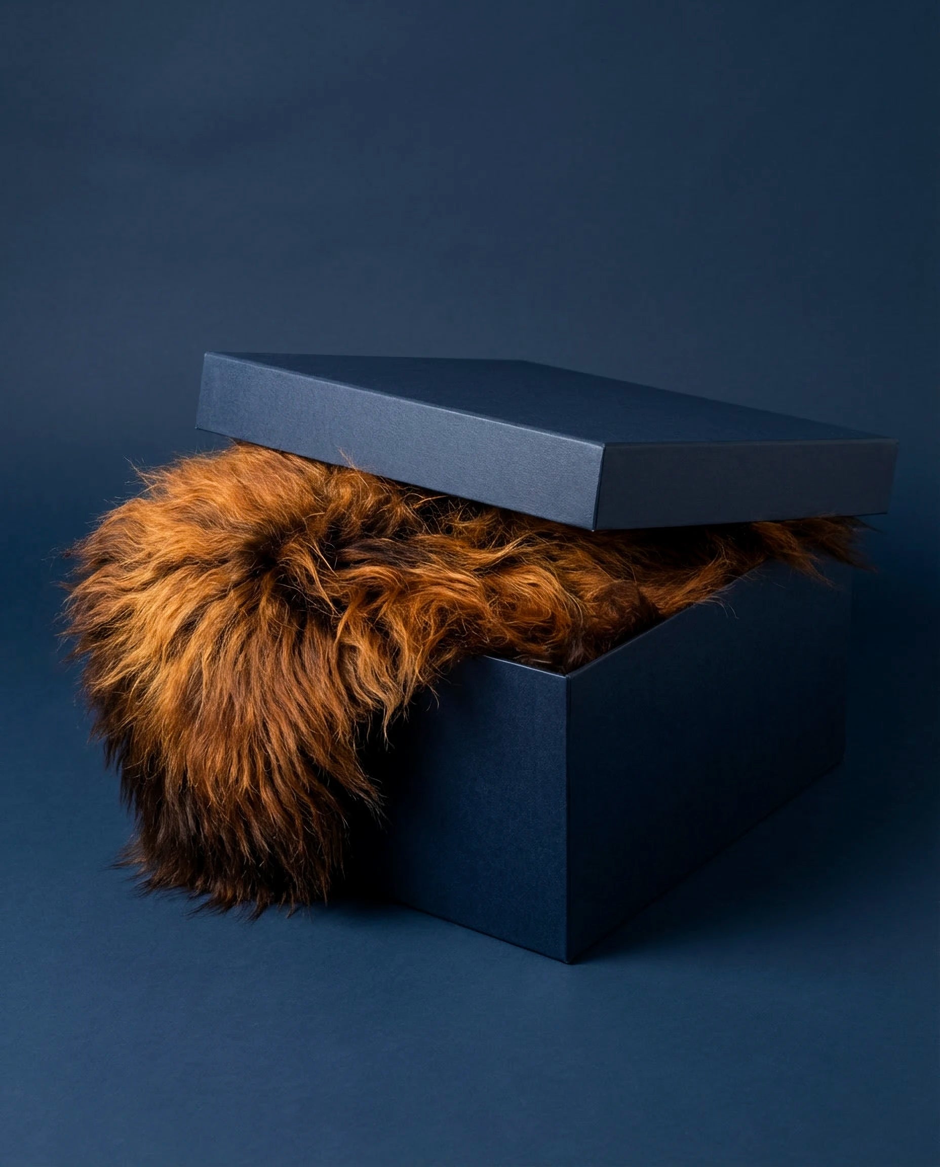 BääBää® Gifting